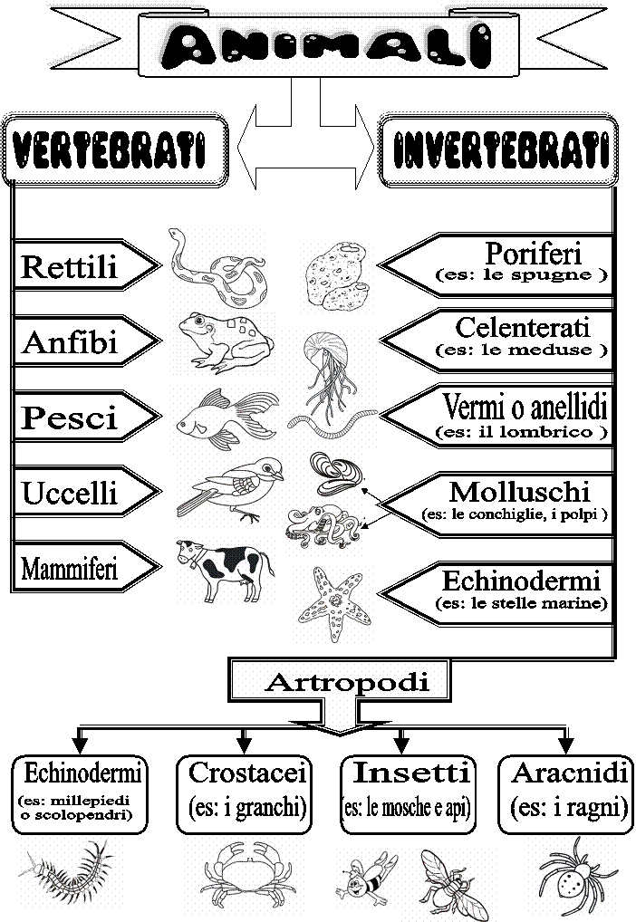 vertebrati invertebrati.gif (51714 byte)