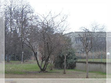 INVERNO