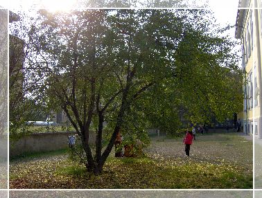 AUTUNNO